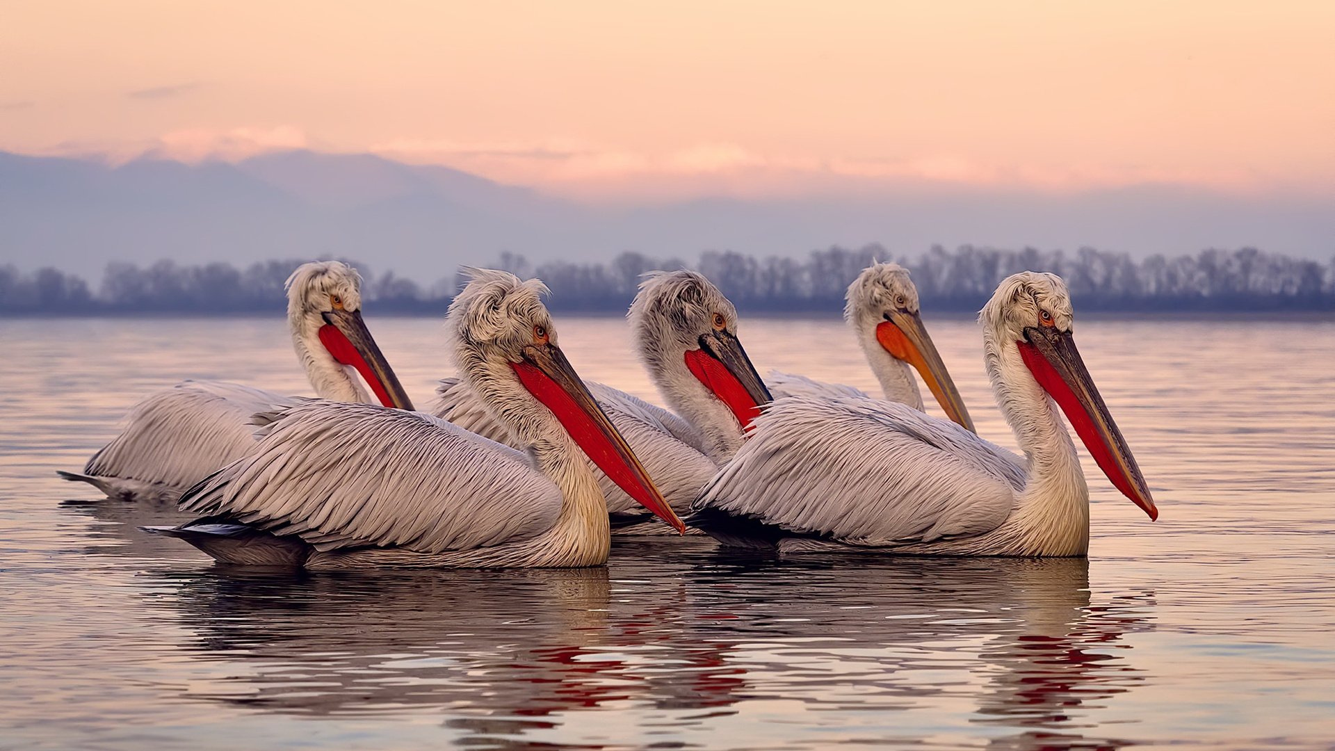 铁血爵士冰封迈阿密,班凯罗奥运前奏引爆全球期待